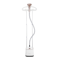 西屋立式挂烫机 手持立式蒸汽挂烫机 平烫机 家用小型电熨斗熨衣烫衣机 WGTS17!