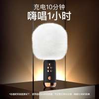 唱吧小巨蛋麦克风G3 K歌麦克风音响 一体 儿童话筒 蓝牙音响 G3!