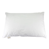 ANCHOW安巢 五星假日羽丝枕AW10221!