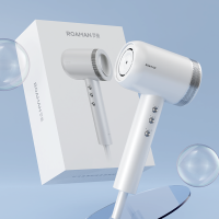 罗曼(ROAMAN) 高速护发负离子吹风机 D20!