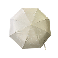 费雪 Fisher-Price 自动晴雨伞 FP-Y012!