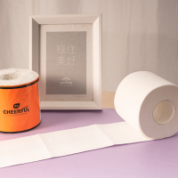 植护 悦色家用卫生纸实惠装有芯卷纸 16卷/箱15226430101 16卷/箱!