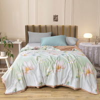 洁丽雅(grace) 梦江南天丝夏被200*230cm JLY-B2279!