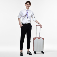 巴天弩(BATANUV) 时尚旅行拉杆箱20寸 F337 轻商务时尚旅行箱 质感出行 箱体轻盈牢固!