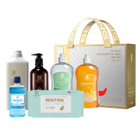 BESITING碧丝汀 洗衣液地板清洁剂洗洁精漱口水洗手液手口湿巾 家庭清洁护理奢享装-A款!