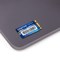 忆捷(EAGET)固态(2242、NGFF)S300-256G 固态硬盘笔记本台式机电脑!