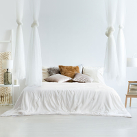 慕思(DeRUCCI) DSZ1-038桑蚕丝被!