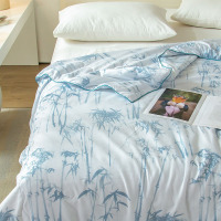 杉杉(FIRS) QFS-35089 竹意纤维被夏被空调被可水洗 180x210cm!