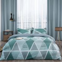 罗蒙( ROMON) 春意阑珊床上用品四件套床单被套四季通用200*230cm LM-6001!