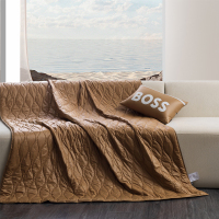BOSS HUGO BOSS 被子 单被 四季通用 多功能靠垫被-HBKD-007!