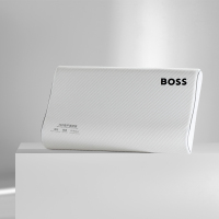 BOSS HUGO BOSS 床上用品 枕头 枕芯 舒眠记忆枕 -HBZX-017!