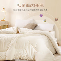 博洋家纺 大豆纤维冬被—雅致/150*210cm/X921132213005被芯被子