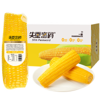 失重密码水果玉米棒东北新鲜甜玉米开袋即食真空早餐代餐220g*8棒/箱!