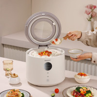 大宇(DAEWOO)电饭煲DYFB-409F 流苏白(彩邮)