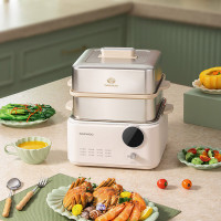 大宇(DAEWOO)电蒸锅DYZL-12L35 流苏白(彩邮)