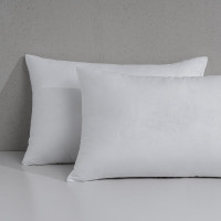 水星家纺 枕头舒适枕芯/枕头床上用品DH宁逸抗菌对枕枕头一对 HN .126013