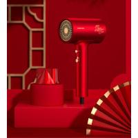 雷瓦 千万级负离子护发电吹风 RC-7811