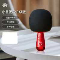 唱吧小巨蛋麦克风G2-升级版绯红色
