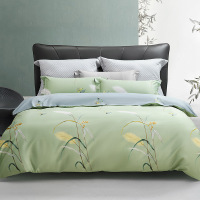 水星家纺倩影摇曳全棉抗菌四件套-123004