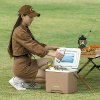 大迈户外保温箱-挪威森林/布拉格棕