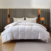 无印良品50%白鸭绒羽绒被MJ-B2024-0175天际白