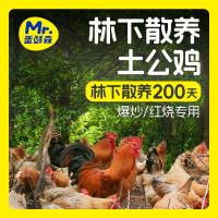 蛋鲜森林下散养土公鸡1000g只2只装