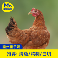 蛋鲜森徽州童子鸡1000g±50g/只