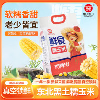 高氏禾田-精品糯玉米 黄糯玉米8穗装 东北苞米 东北黑土糯玉米 软糯香甜 老少皆宜