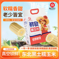 高氏禾田-精品糯玉米 白糯玉米8穗装 非转基因东北新鲜甜黏玉米杂粮粗粮速食 8穗/箱