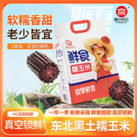 高氏禾田-精品糯玉米 黑糯玉米8穗装 东北黏糯苞米即食粗粮早餐粗粮速食 黑糯玉米 8穗