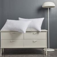 洁丽雅Grace素色安睡枕(一对) 迅速回弹 贴合人体工学设计 承接颈椎 安心睡眠CP1019