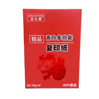 龙仕康 LSKa4-70 打印纸 复印纸 70G 500张/包 5包/箱