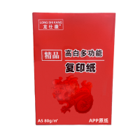 龙仕康 LSKa5-80 打印纸 复印纸 80G 500张/包 10包/箱