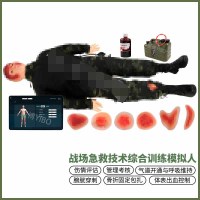 知能 WIM/C209000战创伤情综合急教技术训练模拟人伤情呈现模拟器材模块创伤包扎止血训练模拟人