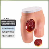 知能 WIM/H4T高级臀部肌肉注射训练及解刨结构对比模型 肌内注射屁股打针训练模型