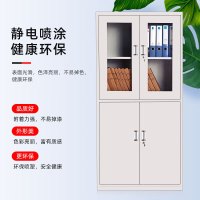 点云星辰 DD-31 文件柜铁皮柜办公柜资料柜凭证柜员工档案储物柜书柜等器