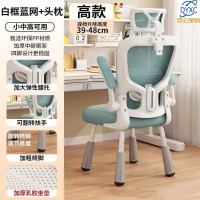点云星辰儿童学习椅小学生家用写作业书桌写字椅舒适久坐不累学习-四脚可调-蓝网+枕头