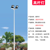 ZOATRON 高杆灯路灯杆户外led球场照明灯杆篮球足球场广场灯-6米200W双头