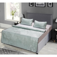 芳恩(Faunen) FN-X5007 艾草双面冰丝席三件套 150×195cm