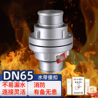 绿消 消防水带接头DN65内扣式接口消防接扣65mm水枪2.5寸接口65型 *10个
