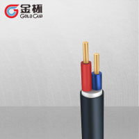 金杯ZC-YJV 2芯2.5-25平方铜芯国标阻燃电力电缆 30米不退换 黑色 ZC-YJV 2*10平方