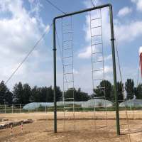 中拳王300米障碍练场心理行为拓展器械体能训晃梯轮胎墙供应-软梯斜绳