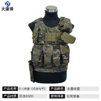 大唐御 DTY-258防护马甲背心装具防护装备650D尼龙背心-水墨云纹夏12件套(不含马甲)