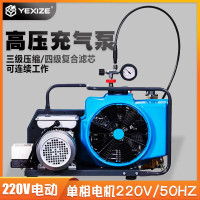 YEXIZE潜水呼吸器专用高压充气泵氧气瓶消防电动空气压缩机 电动版自动停机款[220V] 送G5/8充气转接头