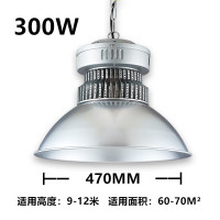 ZOATRON鳍片LED工矿灯工厂车间照明仓库厂房工业超市室 银色300W白光国产芯片