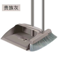 世美洁扫把套装家用塑料扫帚簸箕组合软毛不锈钢笤帚清洁刮水板 两件套经典灰 5套