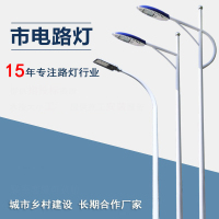 ZOATRON市电路灯LED户外防水市政道路照明高杆灯新农村单臂双臂路灯杆 12米路灯-200瓦