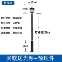 ZOATRON庭院灯户外公园太阳能景观草坪灯室外别墅小区LED路灯 特价款总高2.9米[220V]