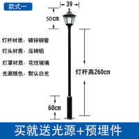 ZOATRON庭院灯户外公园太阳能景观草坪灯室外别墅小区LED路灯 款式一总高3米[220V]