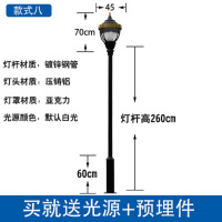ZOATRON庭院灯户外公园太阳能景观草坪灯室外别墅小区LED路灯 款式八总高3米[220V]